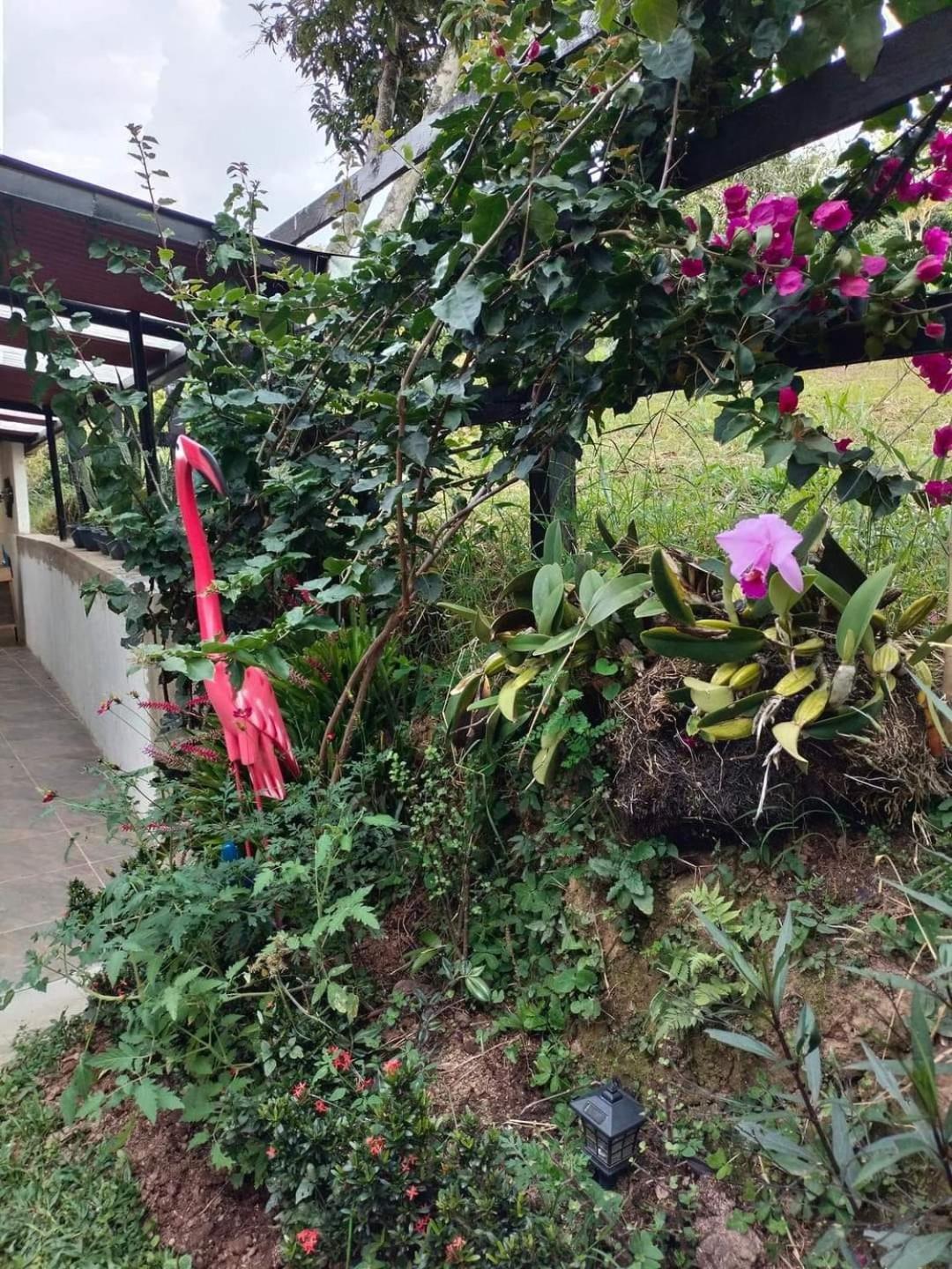 San Jeronimo 農家樂 *