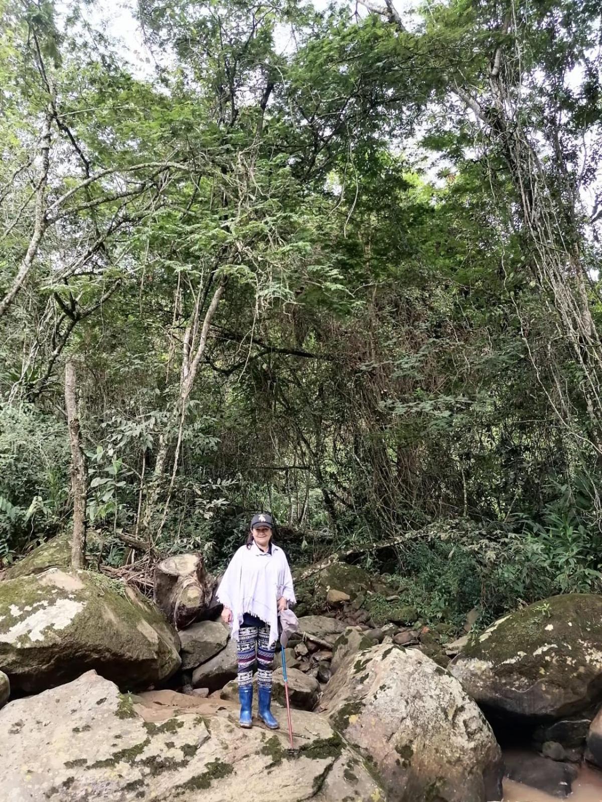 San Jeronimo