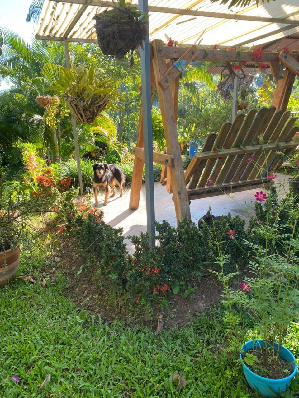 San Jeronimo Farm stay Arbelaez