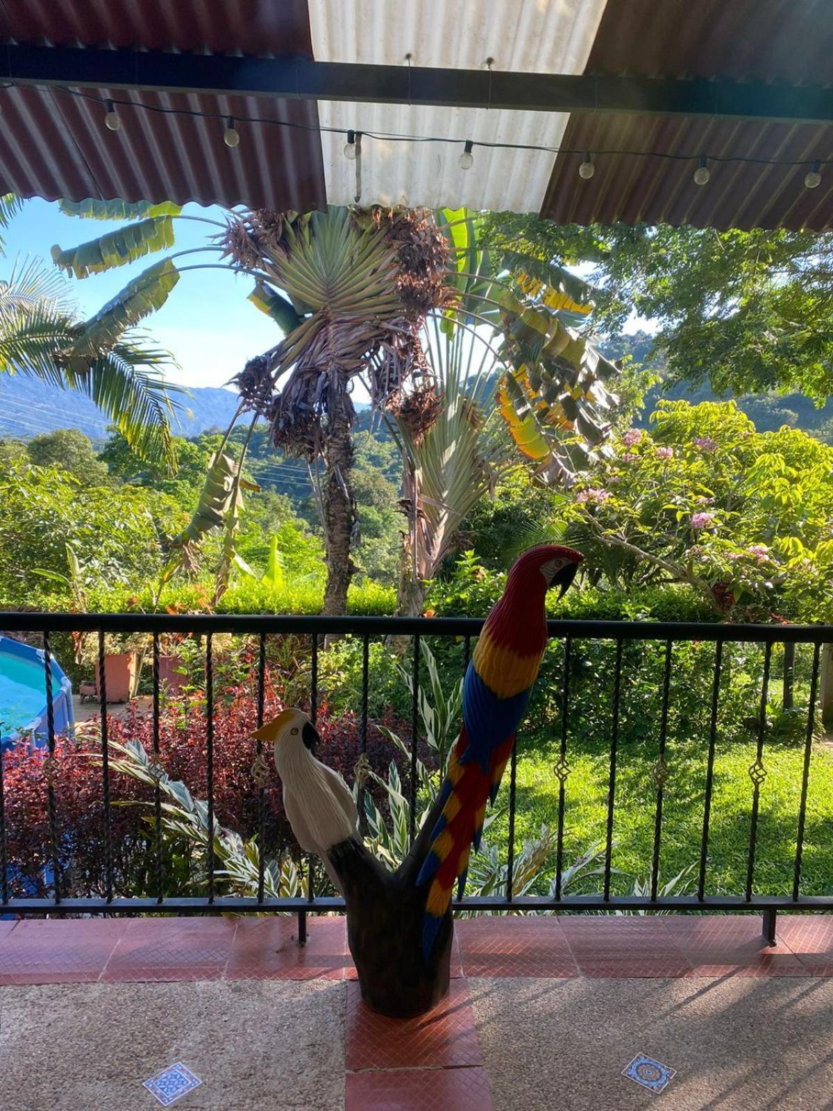 Farm stay San Jeronimo *