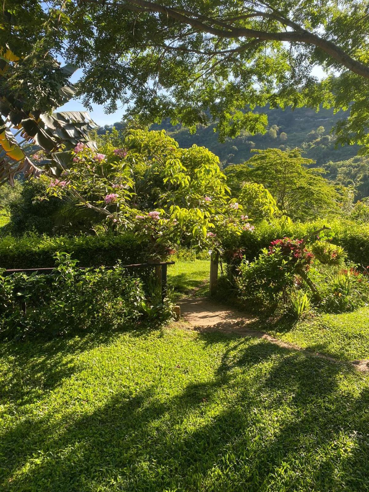 San Jeronimo *