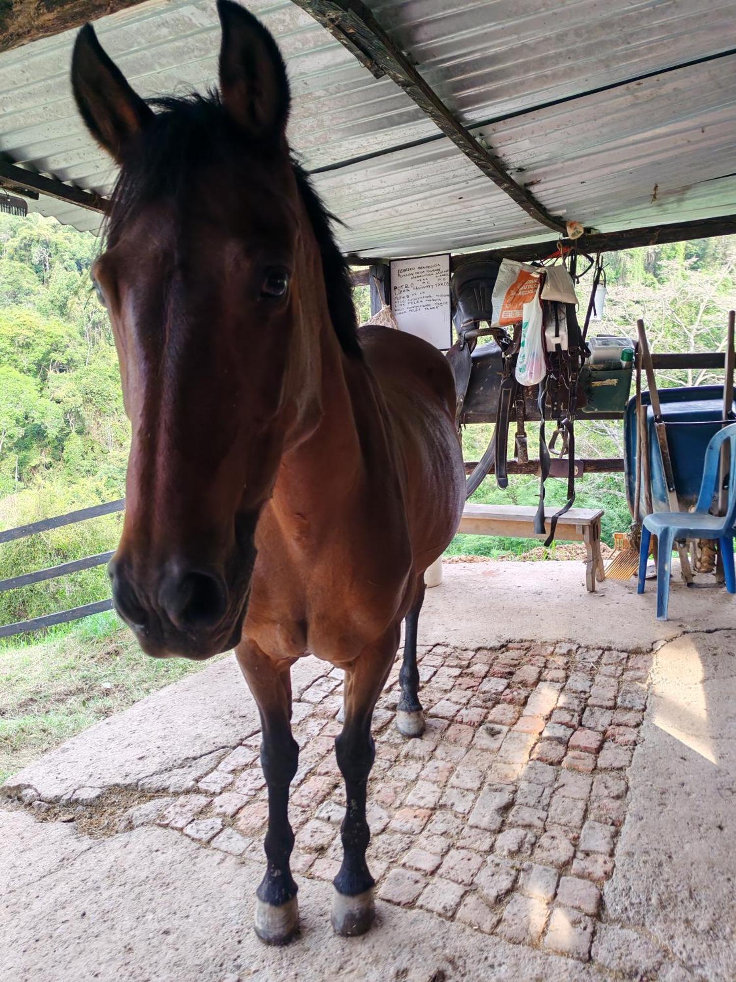 San Jeronimo Farm stay